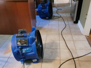 Why Timely Water Damage Restoration Service is Critical for Your Property