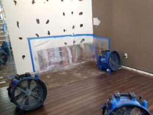 Why Homeowners Should Prioritize Water Damage Restoration Services