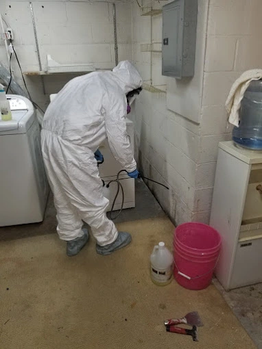 Professional mold mitigation team using equipment to remove mold