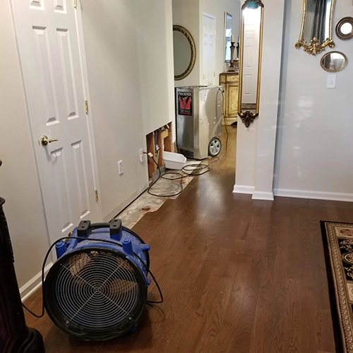 Dining Room in Manalapan, NJ - Water Damage Restoration